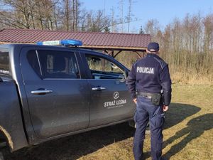 funkcjonariusz stojący tyłem obok pojazdu straży leśnej