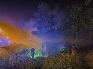 policjant w mundurze idący wśród roślinności i w dymie w poświacie kolorowych świateł